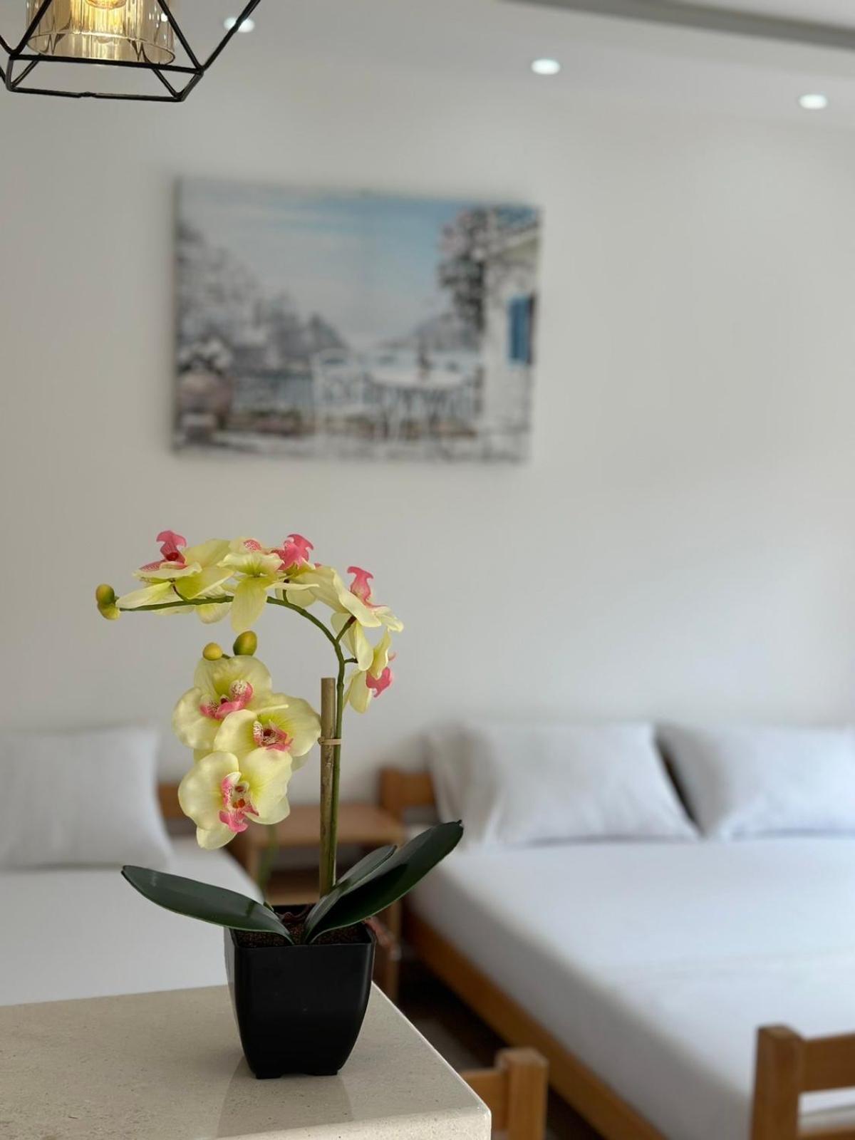 Ceka Apartments Ulcinj Exterior photo